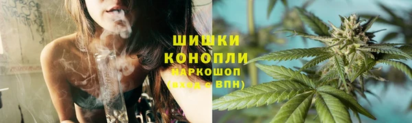 стаф Краснослободск