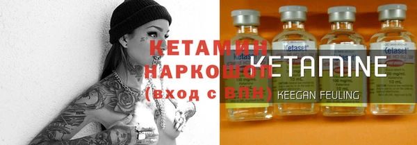 прущие грибы Краснотурьинск