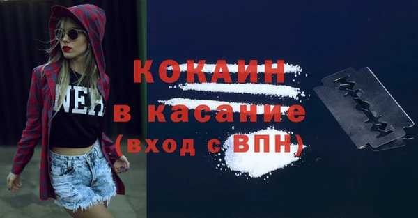 прущие грибы Краснотурьинск
