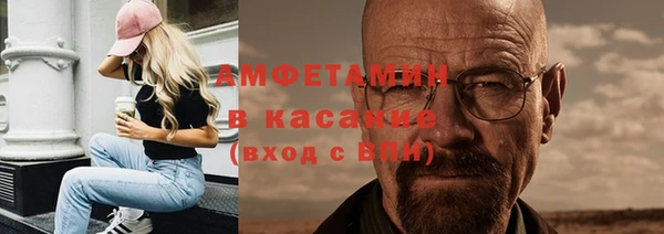 прущие грибы Краснотурьинск