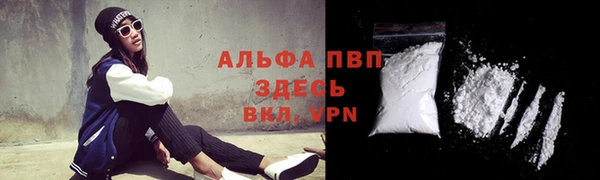 прущие грибы Краснотурьинск