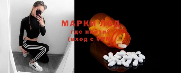 прущие грибы Краснотурьинск