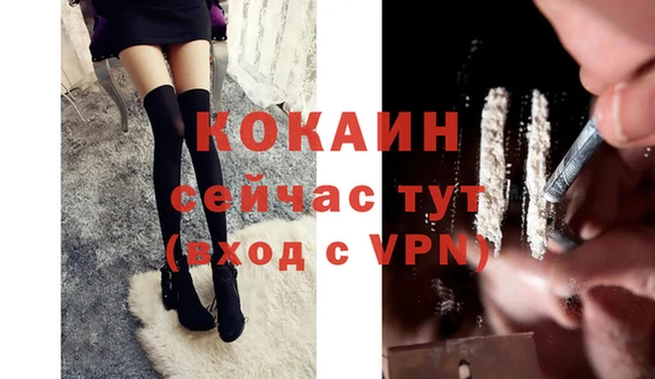 стаф Краснослободск