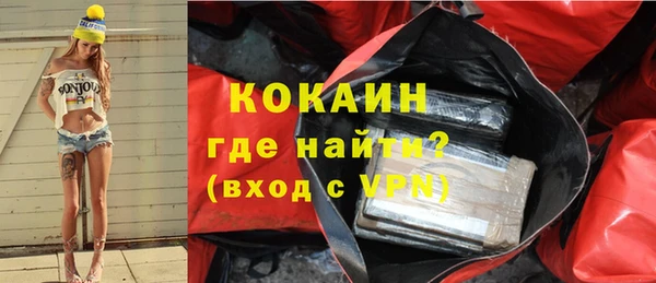 прущие грибы Краснотурьинск